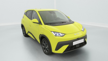 378132_p2 - BYD - DOLPHIN SURF - 2025