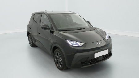 378125_p2 - BYD - DOLPHIN SURF - 2025